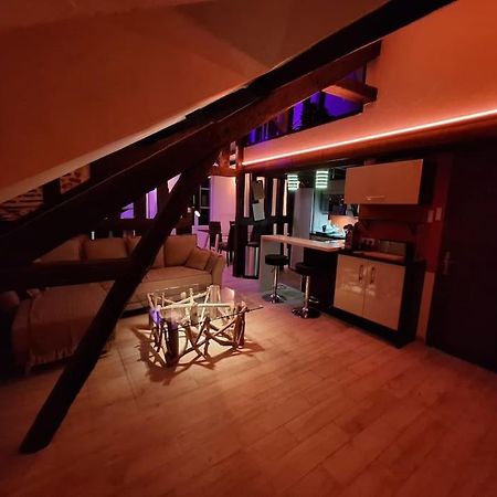 Le Perchoir De L'Empereur Apartment Орлеан Екстериор снимка