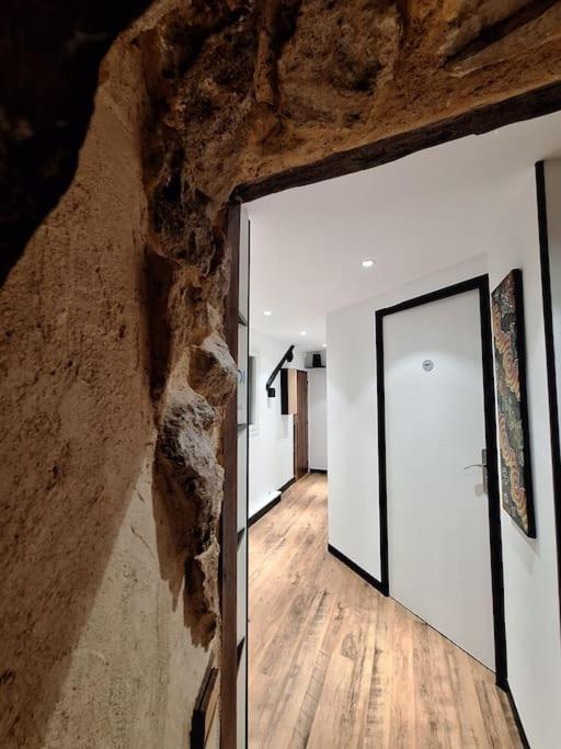 Le Perchoir De L'Empereur Apartment Орлеан Екстериор снимка